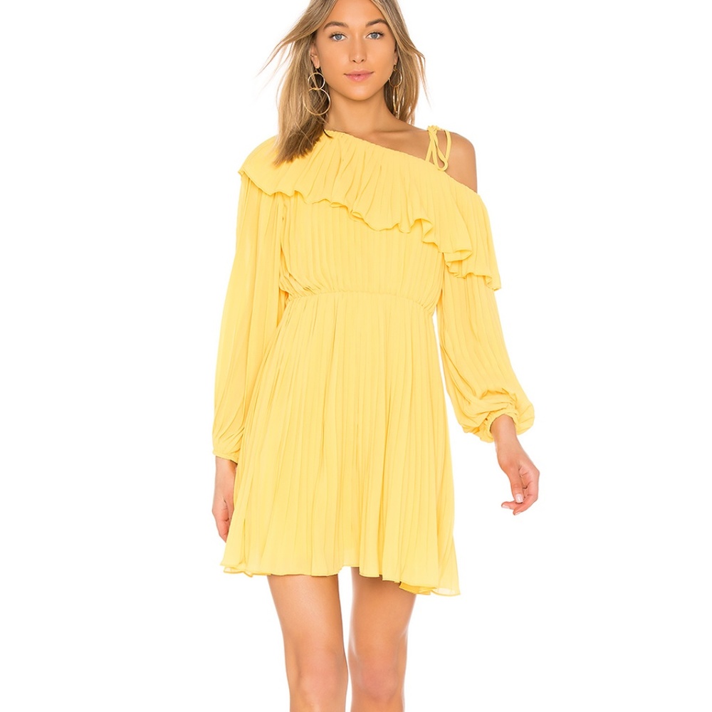 Endless Rose Pleated One Shoulder Dress